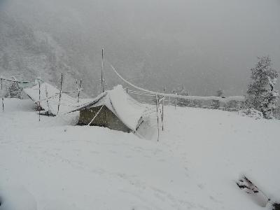 Dhanaulti Camp Homes Photo