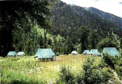 Dhanaulti Woods Mountain Camp Photo