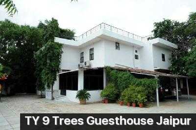 9 Trees Guesthouse Photo