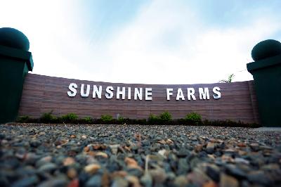 Sunshine Farms and Resort Photo
