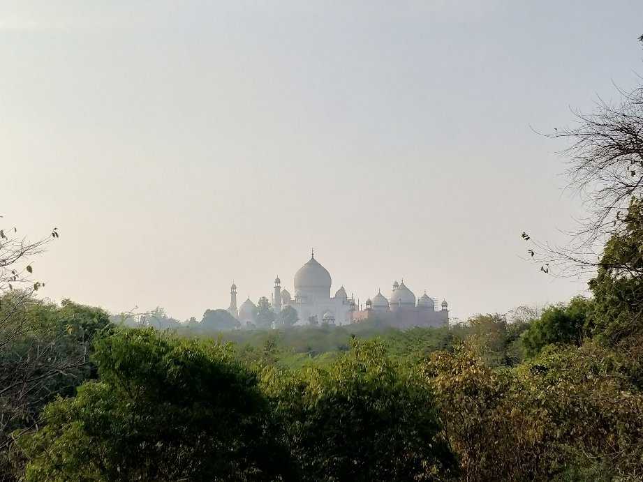 Taj Nature Walk Photo 1