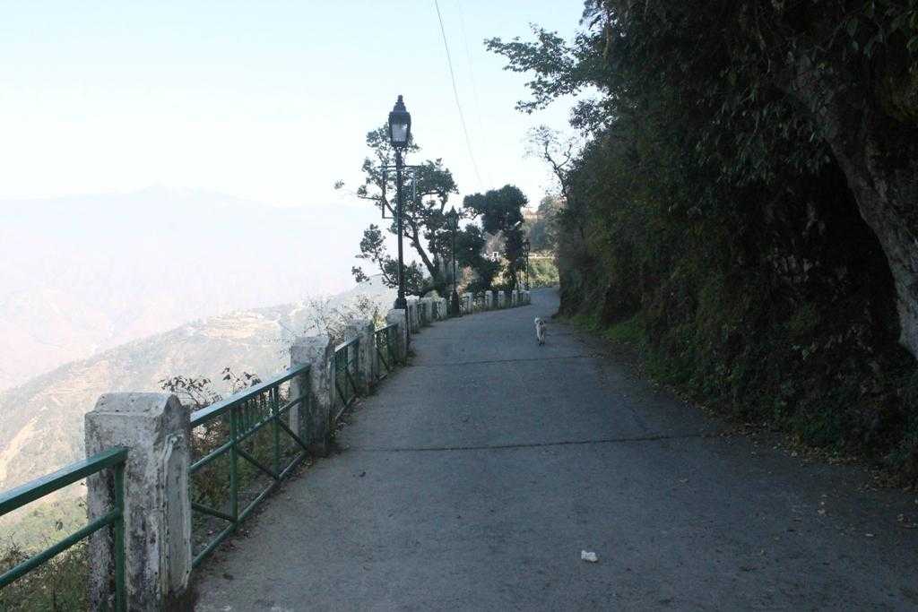 Camels Back Road Mussoorie Photo 5