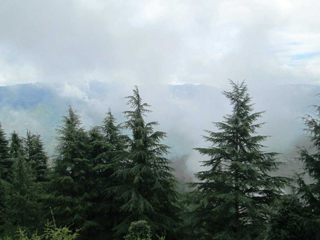 Lal Tibba Mussoorie Photo 1