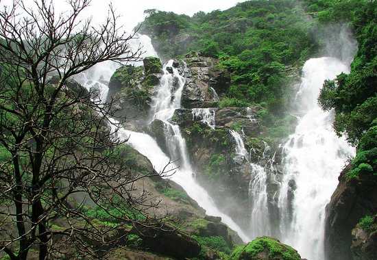 Dudhsagar Falls Photo 4