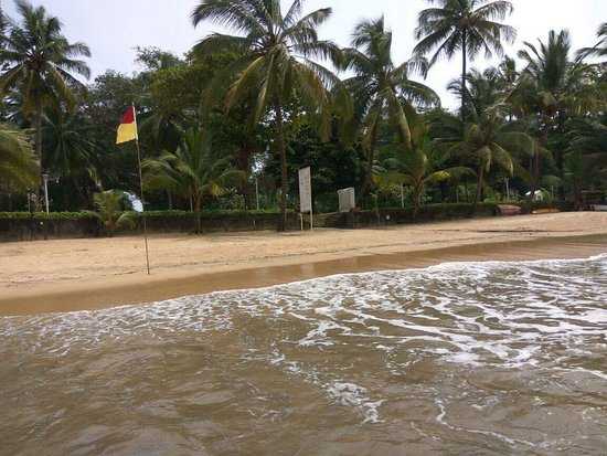 Vainguinim Beach Photo 3