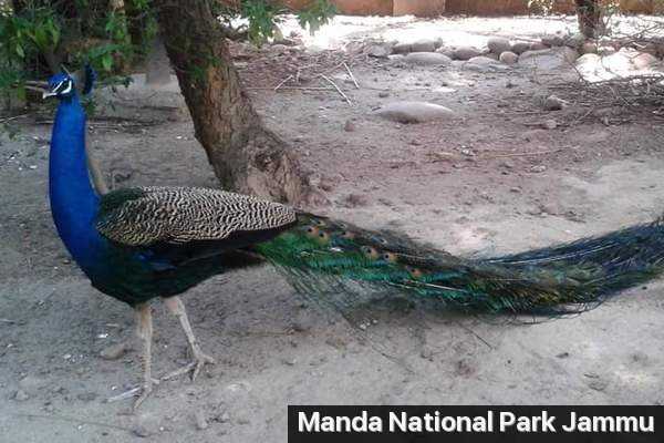 Manda National Park Photo 2