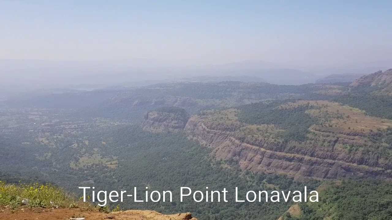 Lion Point Photo 2
