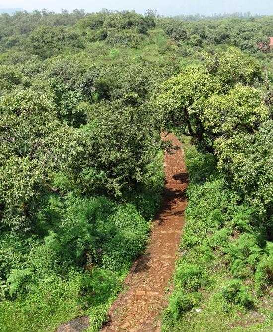 Gureghar Nature Trail Mahabaleshwar Photo 2