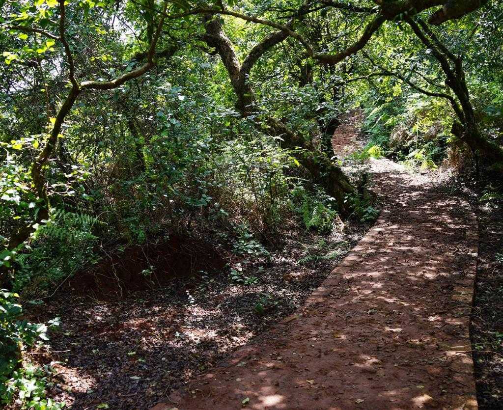 Gureghar Nature Trail Mahabaleshwar Photo 1