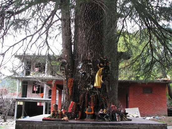 Ghatotkach Tree Temple Photo 1
