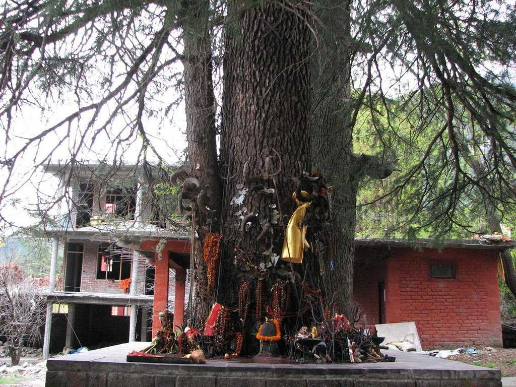 Hidimba Devi Temple Photo 2