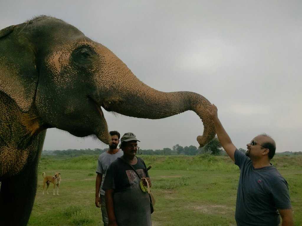 Elephant Conservation and Care Center Mathura Photo 1