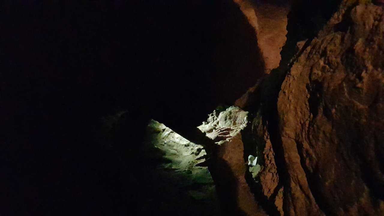 Cave Garden Photo 3