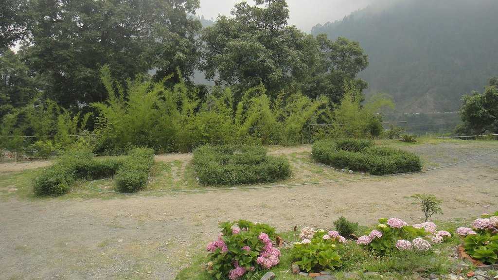 Himalayan Botanical Garden Photo 1