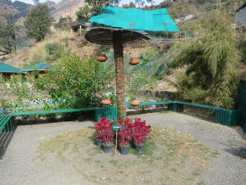 Himalayan Botanical Garden Photo 2