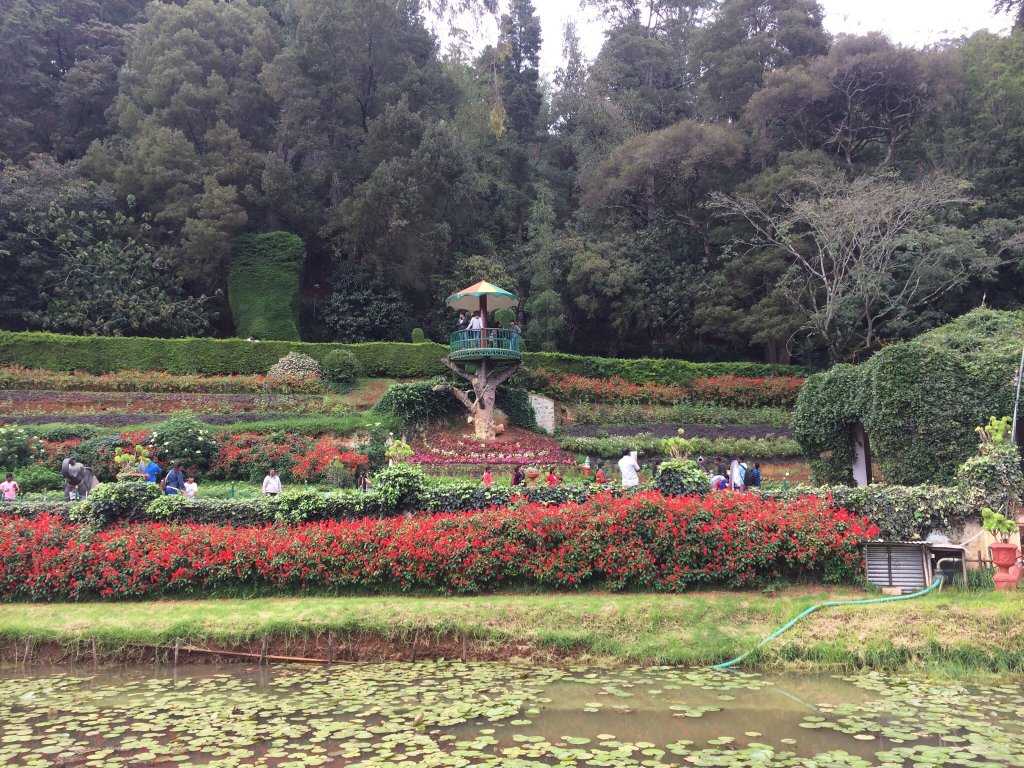 Botanical Gardens Photo 5