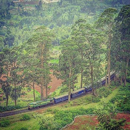 Nilgiri Mountain Railway Photo 3