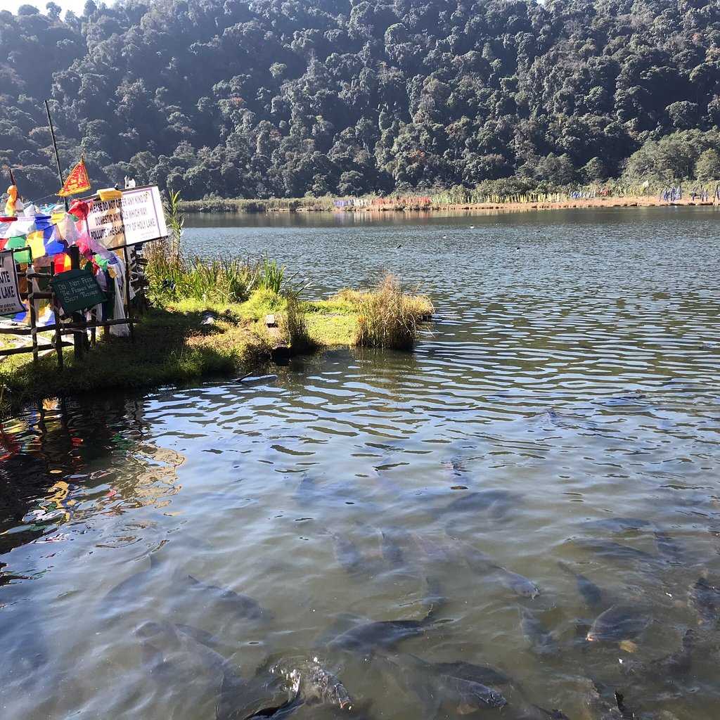 Khecheopalri Lake Pelling Photo 3