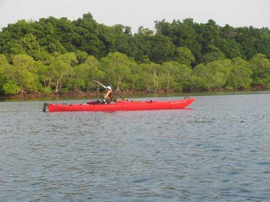 Kayaking and Canoeing Photo 1