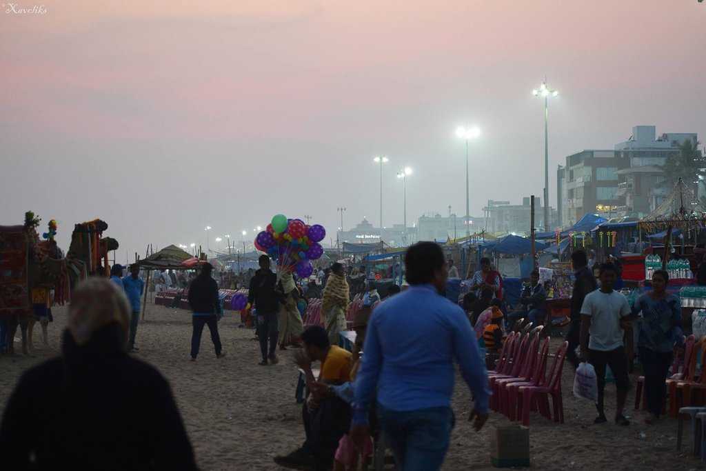 Puri Swargadwar Beach Photo 2