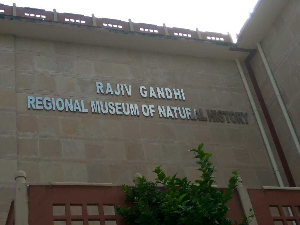 Rajiv Gandhi Regional Museum of Natural History Photo 3