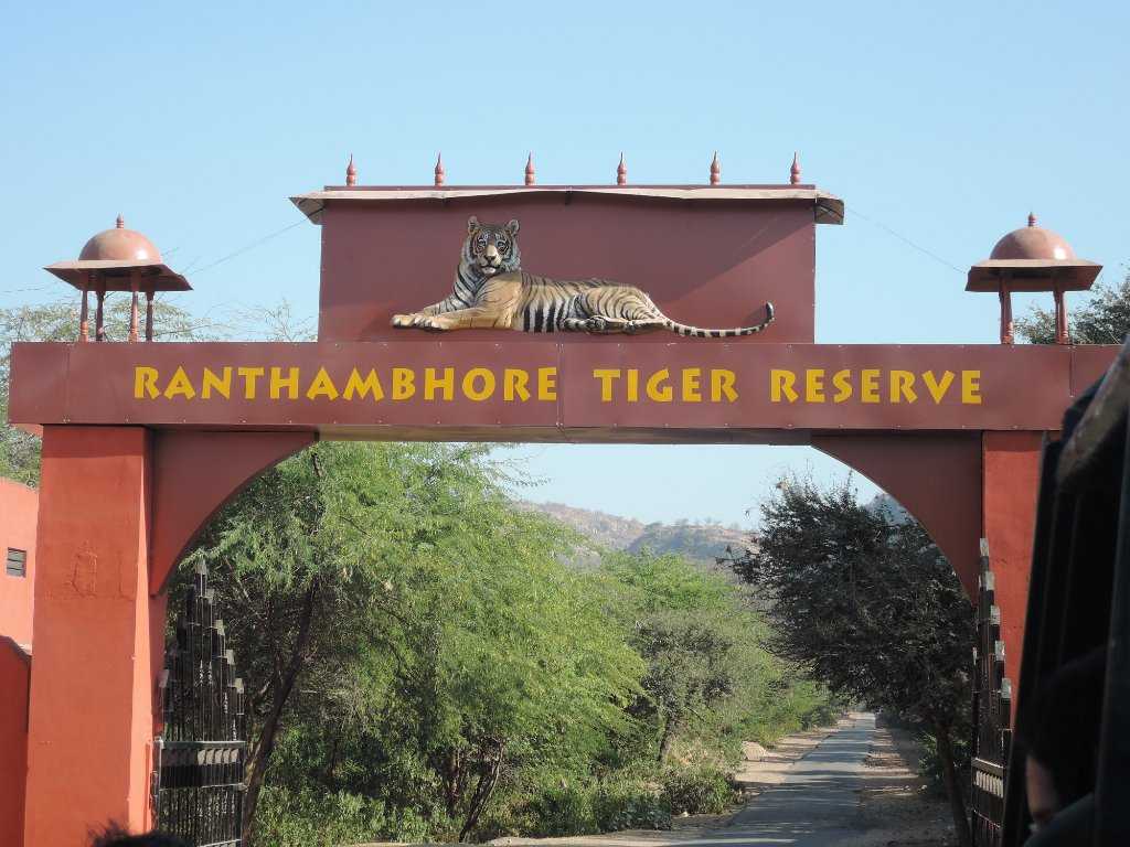 Ranthambore National Park Photo 2
