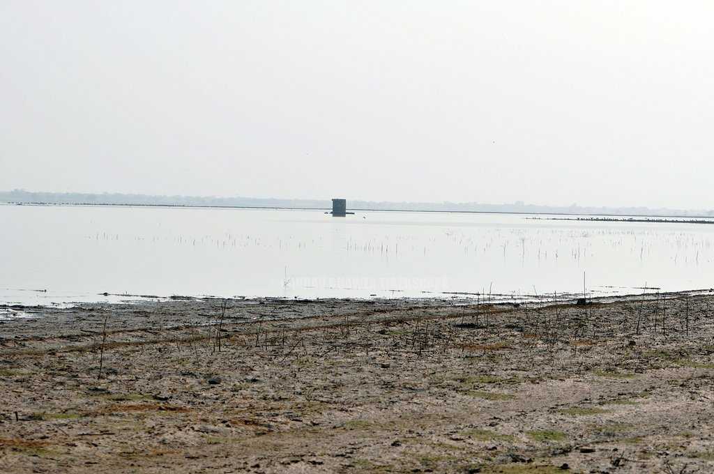 Surwal Lake Photo 3