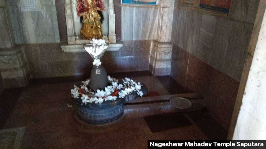 Nageshwar Mahadev Temple Photo 3